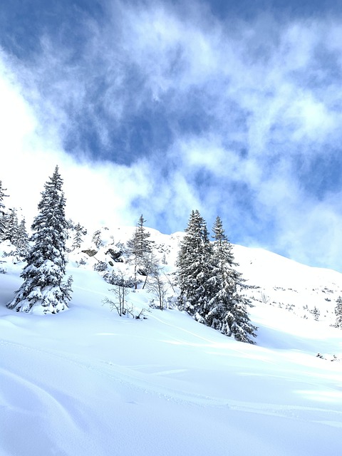 mountain, snow, mountains, winter, landscape, nature, austria, österreich, schnee, sky, outdoor, trees, clouds, bäume, baum, berg, baum, baum, baum, baum, baum, berg